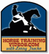 Horse Training Videos