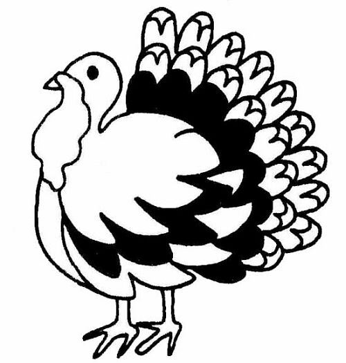 clip art free for thanksgiving - photo #13