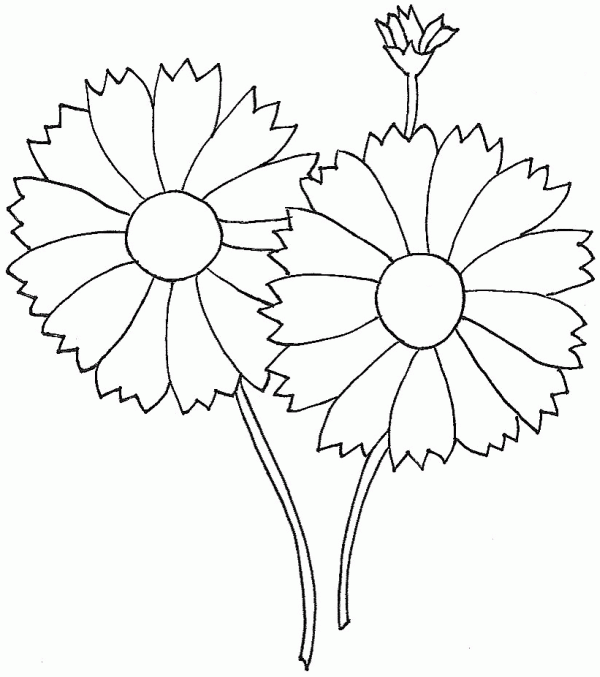free flowers template