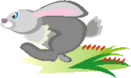 rabbit-running applique
