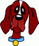 bloodhound dog head