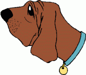 bloodhound dog head profile