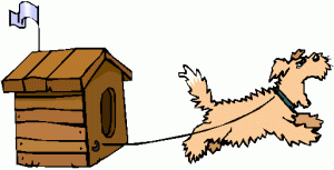 dog and dog house