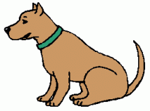 pitbull dog with green collar sitting