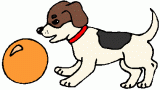 beagle dog with ball