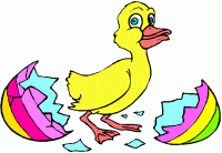 Easter duck 1