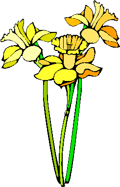 flower image 1