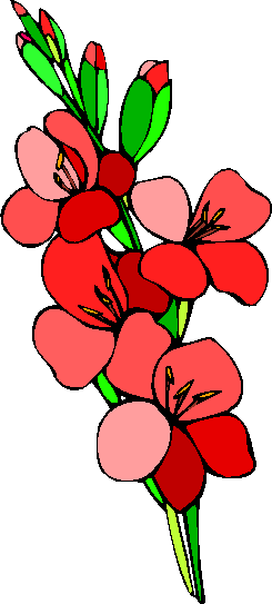 flower image 15