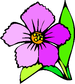 flower image 19