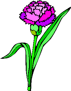 flower image 21
