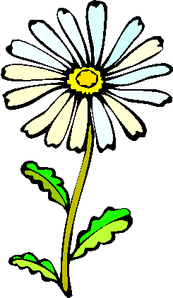 flower image 22