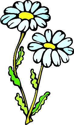 flower image 23