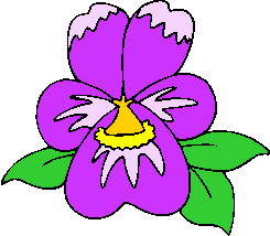 flower image 31