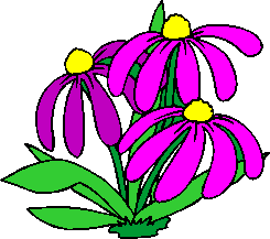 flower image 36