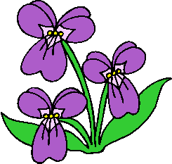 flower image 38