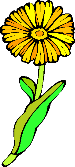 flower image 4