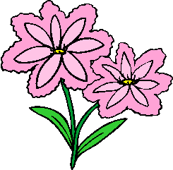 flower image 42