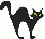 black cat 2