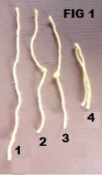 crochet daffodil stamen figure 1