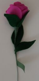 rose with leaves on stem