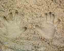 sand casts image 4