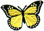 butterfly 5