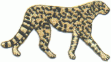 cheetah gold