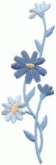 flowers blue