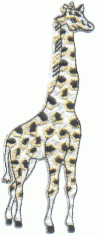 giraffe 2