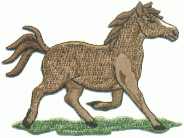 horse 1