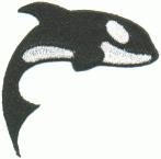 killer whale