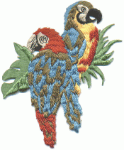 two parrots A